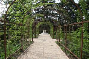 Giardino di Mezzogiorno: la galleria di rose - Foto Archivio MIBAC